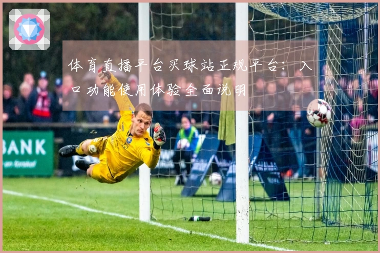 体育直播平台买球站正规平台：入口功能使用体验全面说明