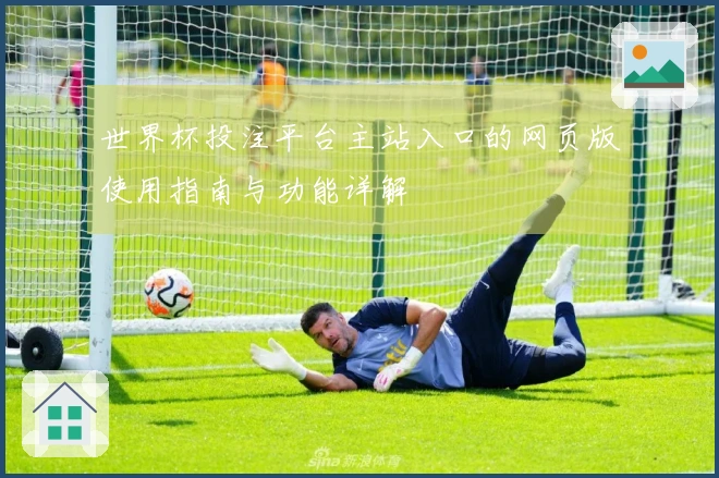 世界杯投注平台主站入口的网页版使用指南与功能详解