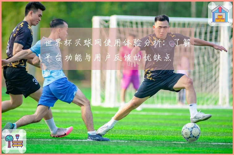 世界杯买球网使用体验分析：了解平台功能与用户反馈的优缺点