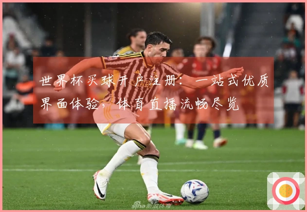 世界杯买球开户注册：一站式优质界面体验，体育直播流畅尽览