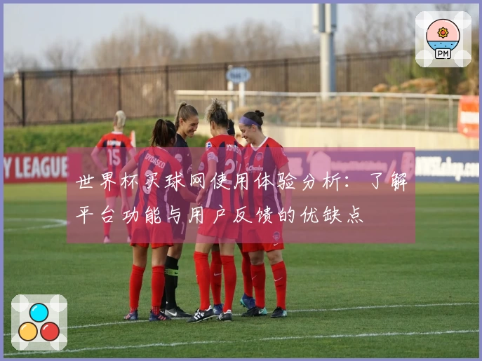 世界杯买球网使用体验分析：了解平台功能与用户反馈的优缺点