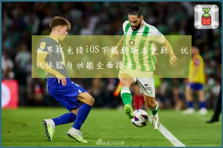 世界杯竞猜iOS下载新版本更新，优化体验与功能全面提升