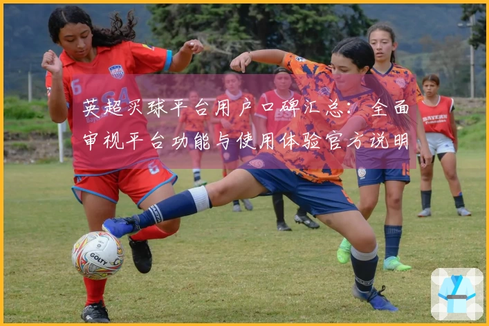 英超买球平台用户口碑汇总：全面审视平台功能与使用体验官方说明