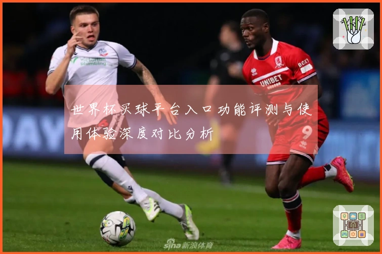 世界杯买球平台入口功能评测与使用体验深度对比分析