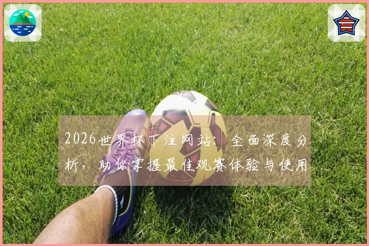 2026世界杯下注网站：全面深度分析，助你掌握最佳观赛体验与使用技巧